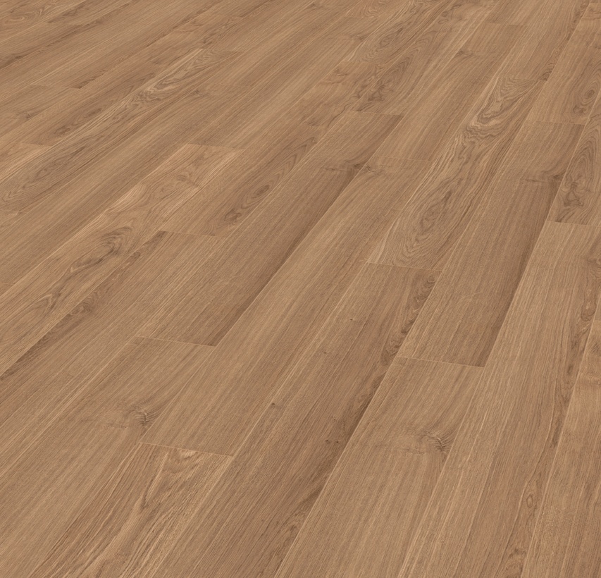 25y-roble-quercus-st-4v-persp_417082169