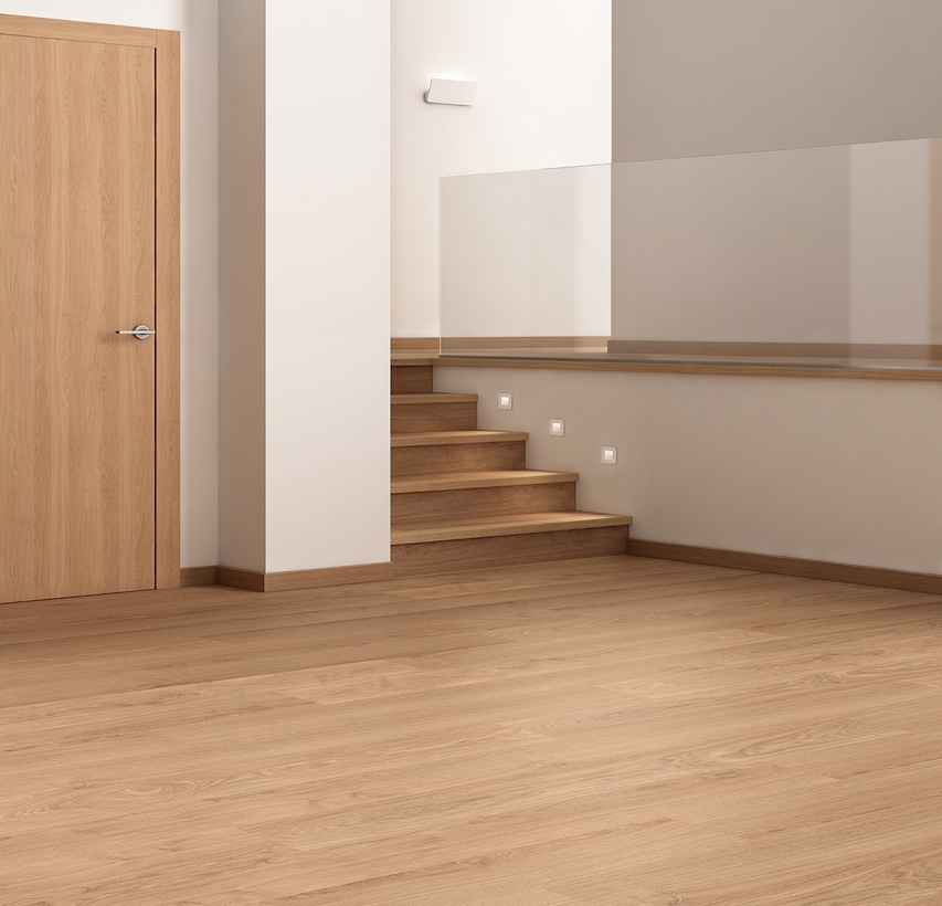 25y-roble-quercus-st-sv-room