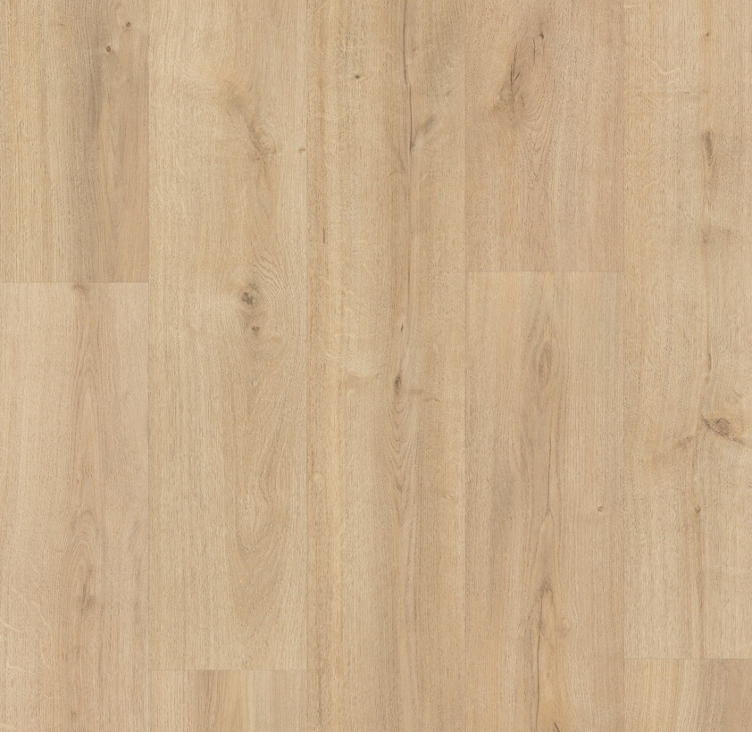 366b-roble-vera-dulzura-xl-4v-top