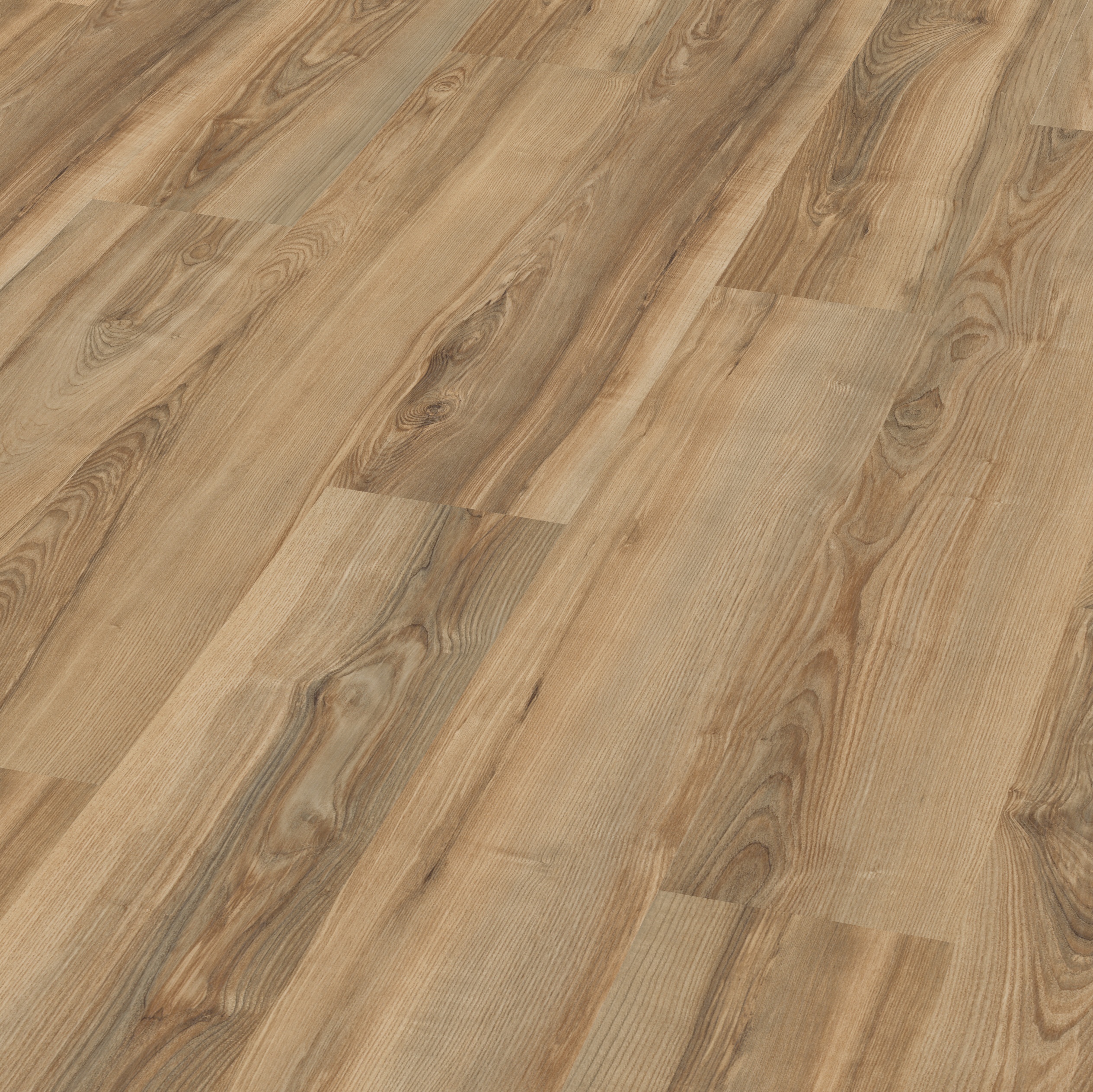 446b-roble-vouga-ex-sv-persp